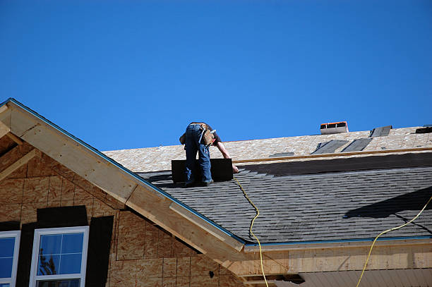 Best Roof Gutter Cleaning  in Shady Shores, TX